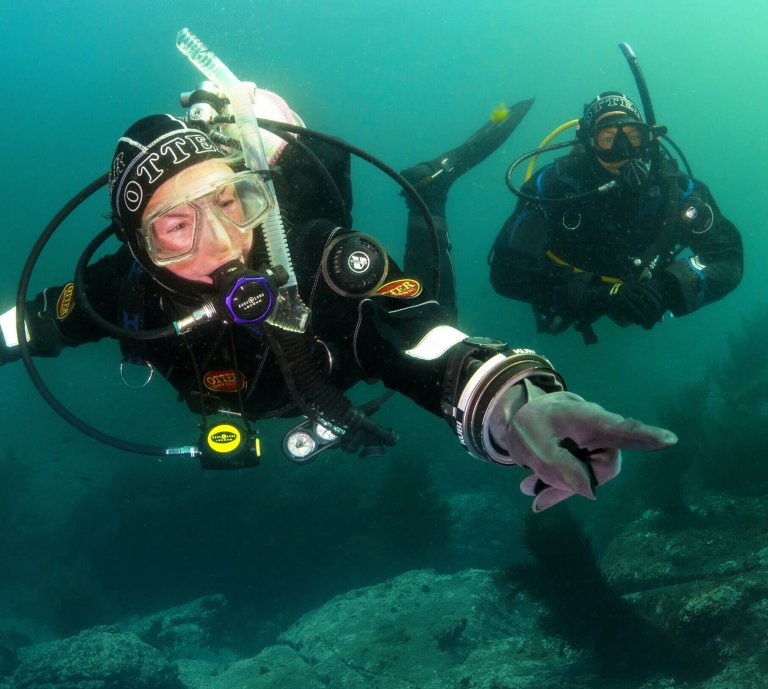 PADI Kuivapukukurssi – Kuukauden erikoiskurssi