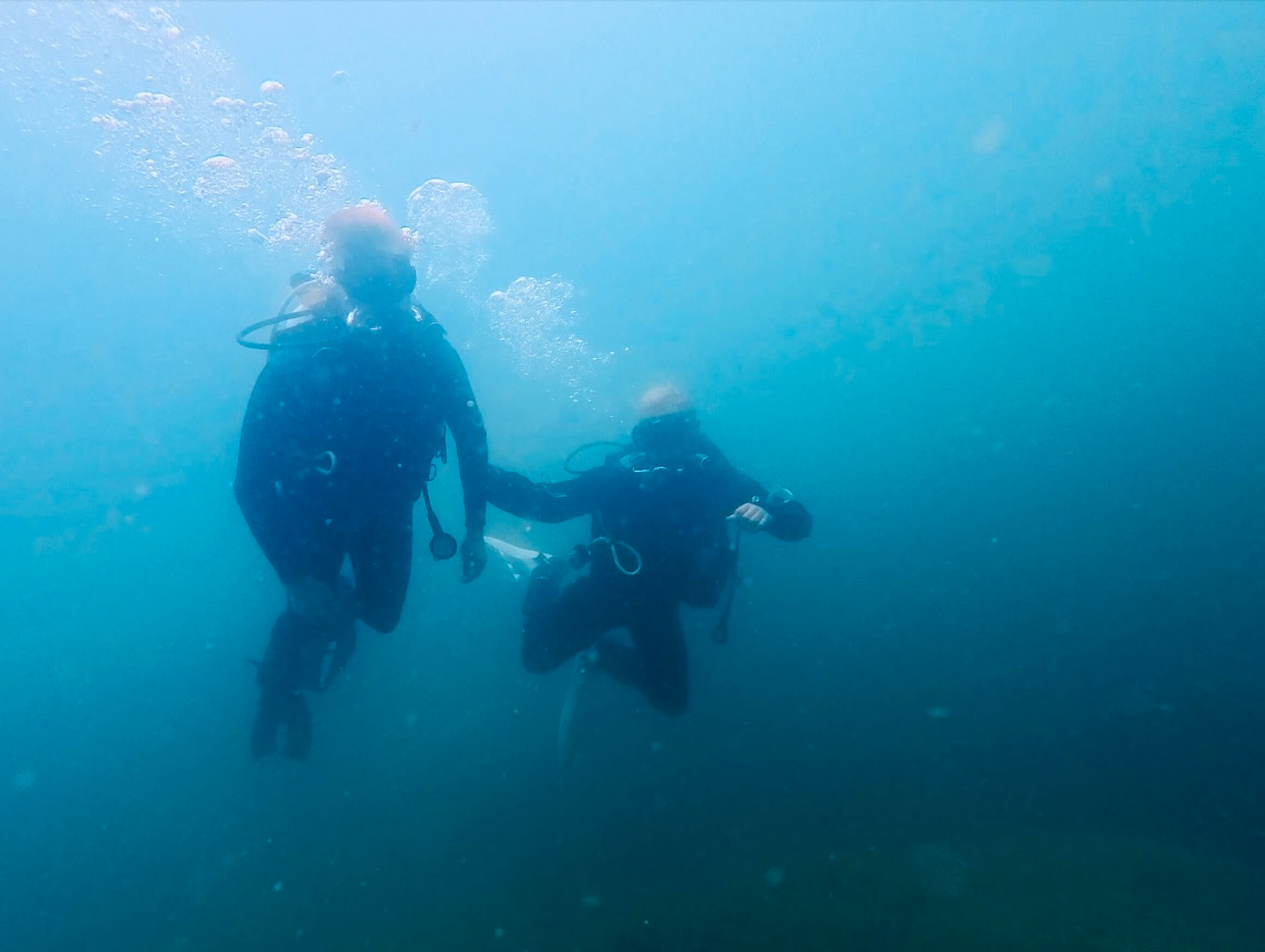 Two scuba divers in typical Finnish Baltic Sea visibility conditions near Helsinki