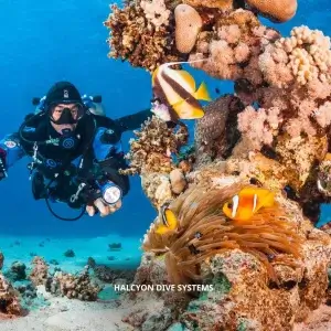 PADI Tec Basics